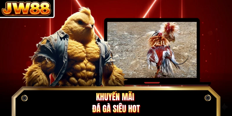 Khuyến mãi đá gà siêu hot